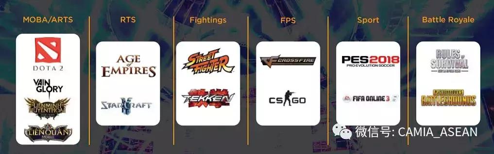 2021越南电子商务市场数据,中国电子竞技未来市场