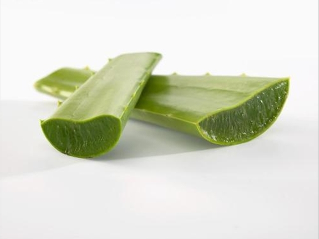 使用芦荟竟然还有这种操作？网友：好处真多！