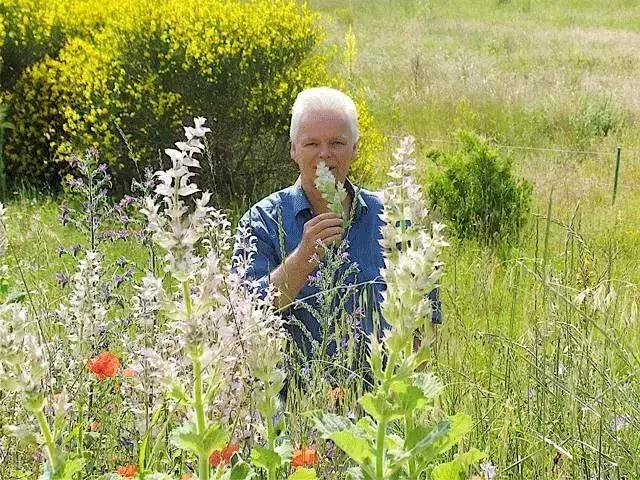 什么样的纯露可以消除痘印,有闭口痘痘用哪款纯露