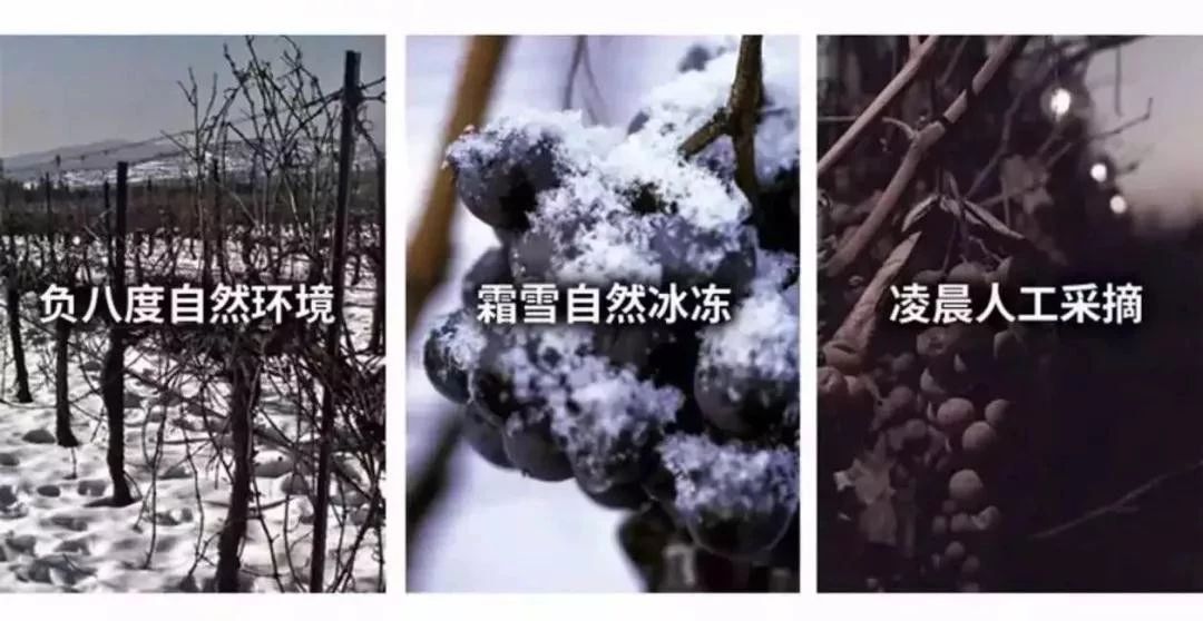 冰点零下7度北冰红冰酒,长白山冰酒零下45度