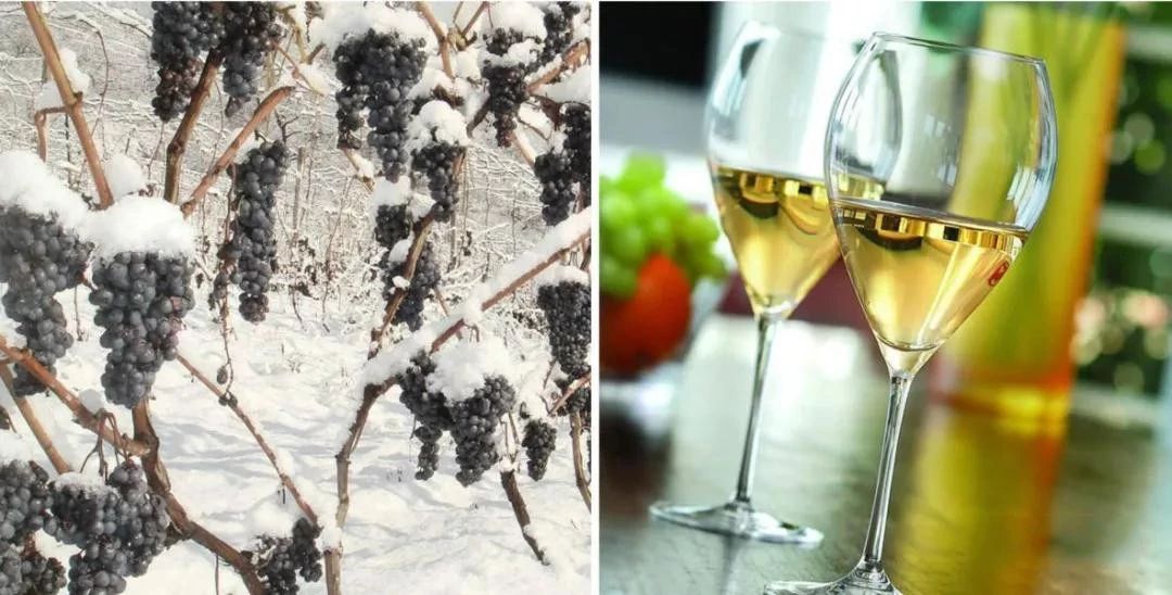 冰点零下7度北冰红冰酒,长白山冰酒零下45度