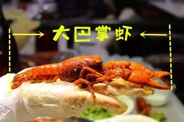 宜昌虾推荐,宜昌特色虾