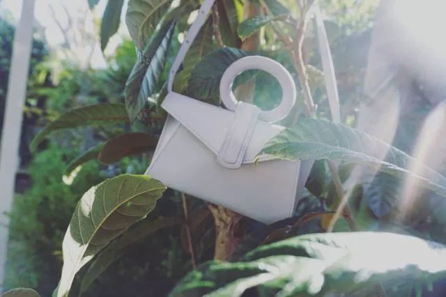 Complet 颜值实力并存的圆环包,这个夏天仙女们都在追捧