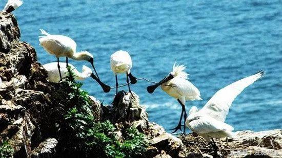 大连周边哪个海岛适合孩子玩,大连海岛旅游哪个岛最好