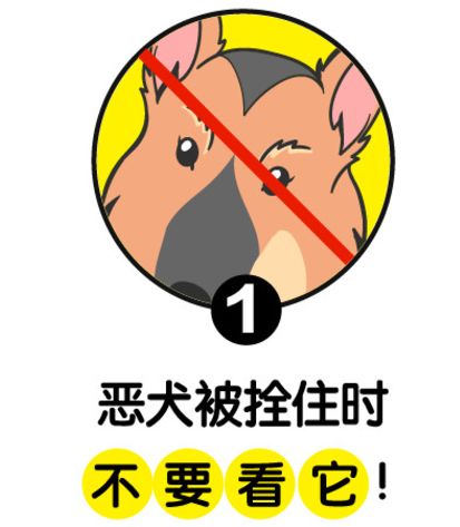 遇到恶狗咬小狗咋办,遇到恶犬追咬如何自救