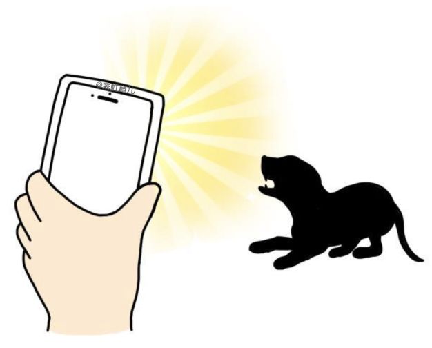 遇到恶狗咬小狗咋办,遇到恶犬追咬如何自救