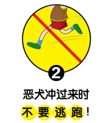 遇到恶狗咬小狗咋办,遇到恶犬追咬如何自救