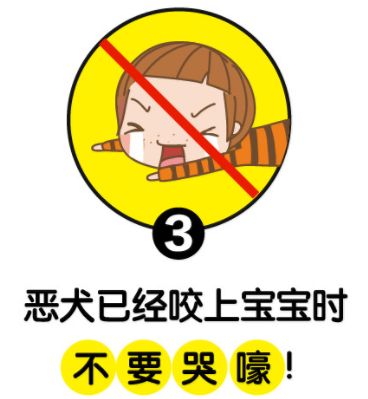 遇到恶狗咬小狗咋办,遇到恶犬追咬如何自救