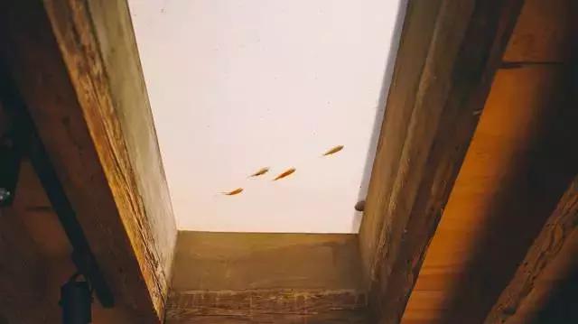 卖掉大城市一套的房子回小城市,卖掉一线城市房子去大理开民宿