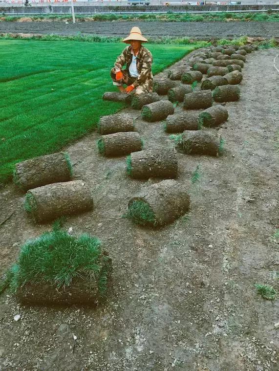 卖掉大城市一套的房子回小城市,卖掉一线城市房子去大理开民宿