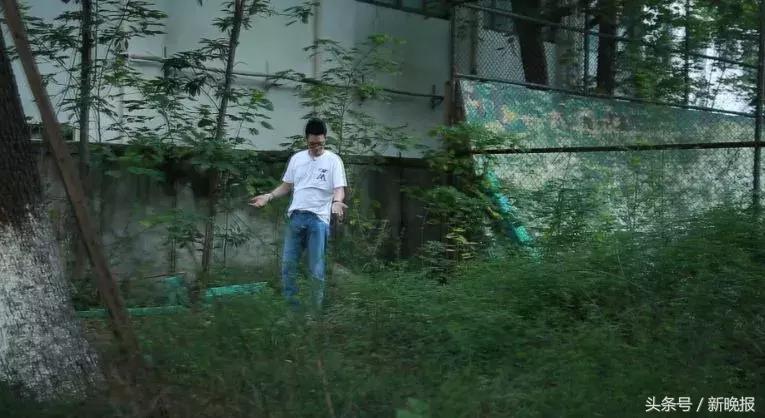 真实有效的驱蚊产品,宝宝出门用的驱蚊产品测评