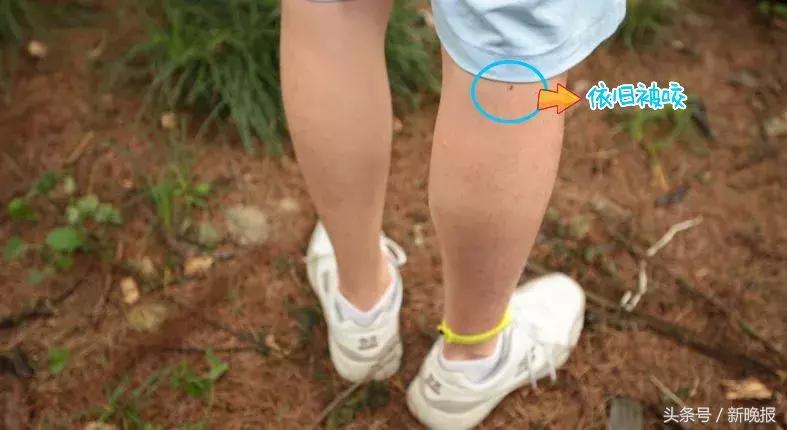 真实有效的驱蚊产品,宝宝出门用的驱蚊产品测评