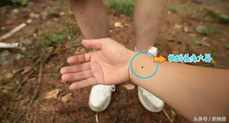 真实有效的驱蚊产品,宝宝出门用的驱蚊产品测评