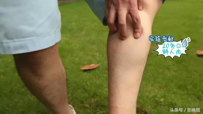 真实有效的驱蚊产品,宝宝出门用的驱蚊产品测评