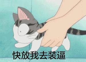 动漫中的猫咪都有哪些,盘点各种动漫猫咪