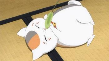 动漫中的猫咪都有哪些,盘点各种动漫猫咪