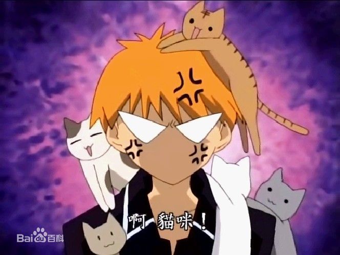 动漫中的猫咪都有哪些,盘点各种动漫猫咪