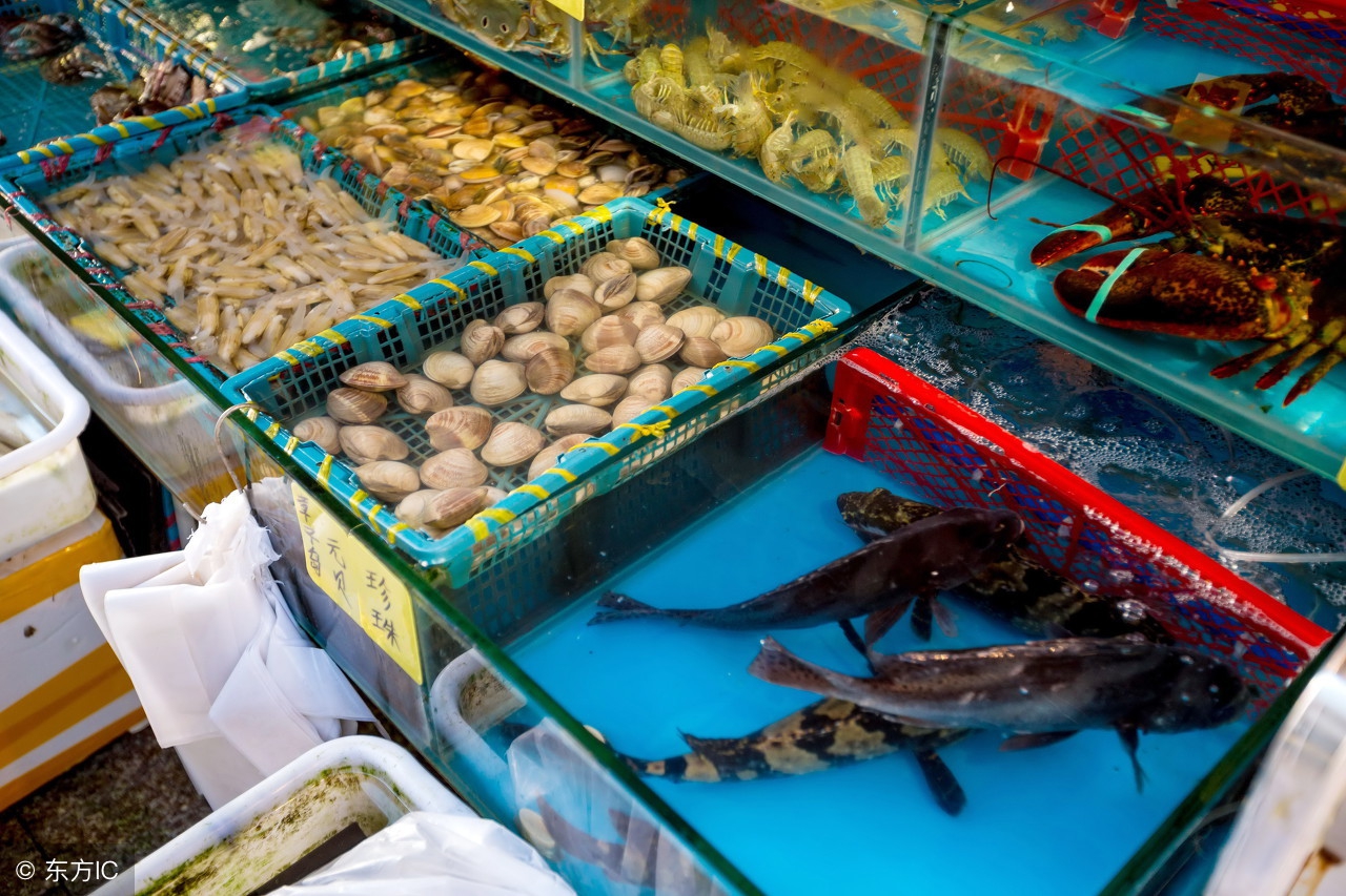 广州各大水果批发市场,广州最大的土特产批发市场在哪