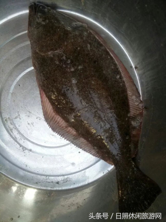 日照房价,日照金山