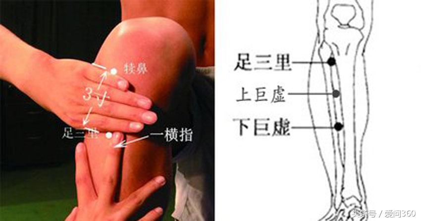 增强记忆力艾灸哪个穴位真人图,老年人记忆力下降按哪个穴位最好