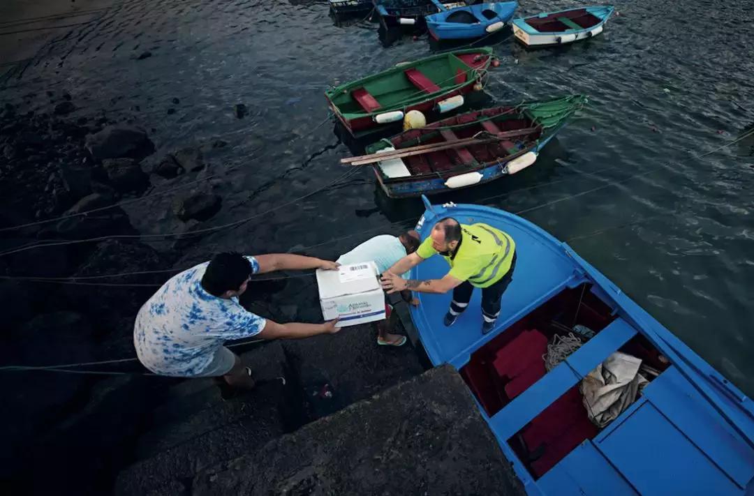 新物流发展的具体措施,新物流规划