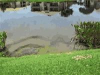 格子军团淘汰英格兰,英格兰vs克罗地亚上半场有进球吗