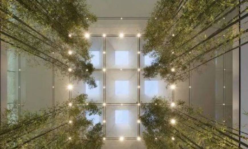 苹果精品店装修,苹果旗舰店店面装修