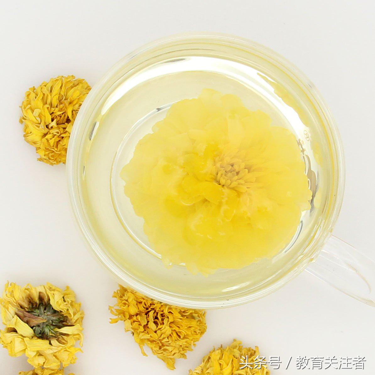 舌尖上的河南——来温县丰核农林品尝青皮核桃吧！