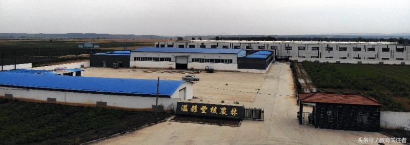 舌尖上的河南——来温县丰核农林品尝青皮核桃吧！