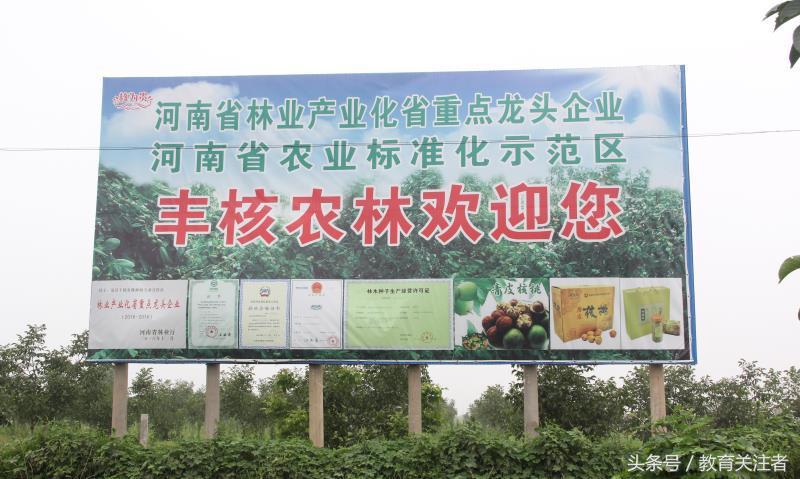 舌尖上的河南——来温县丰核农林品尝青皮核桃吧！