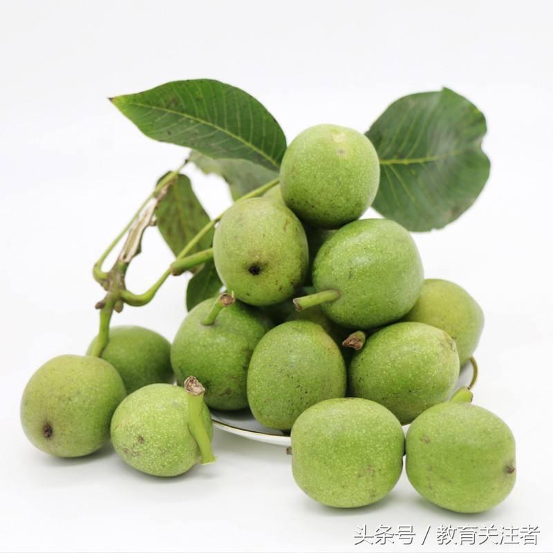 舌尖上的河南——来温县丰核农林品尝青皮核桃吧！