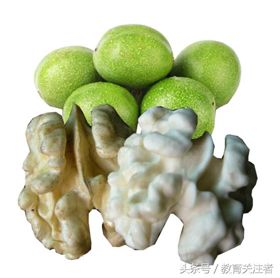 舌尖上的河南——来温县丰核农林品尝青皮核桃吧！