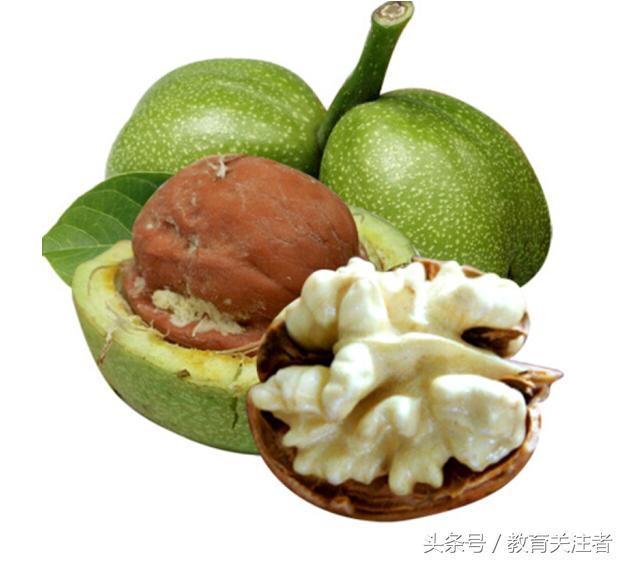 舌尖上的河南——来温县丰核农林品尝青皮核桃吧！