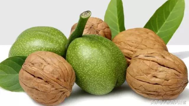 舌尖上的河南——来温县丰核农林品尝青皮核桃吧！