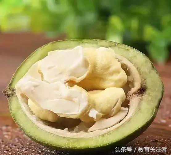 舌尖上的河南——来温县丰核农林品尝青皮核桃吧！