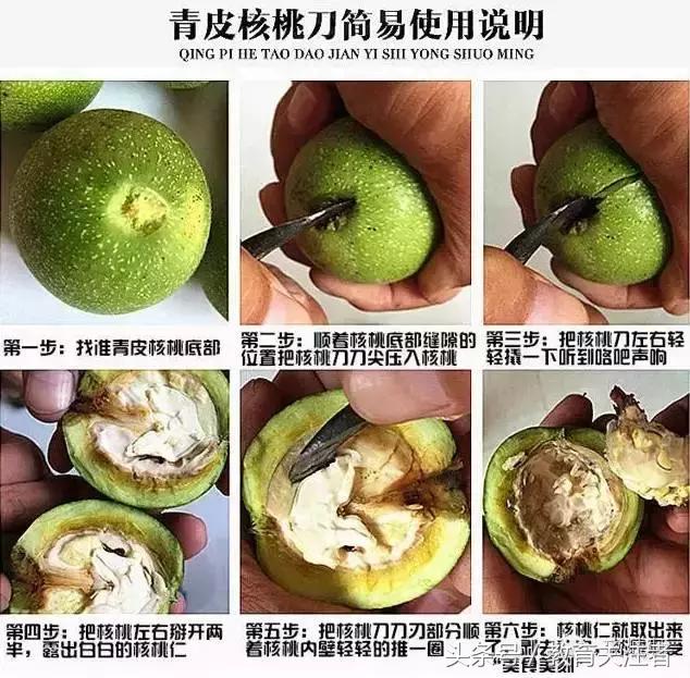 舌尖上的河南——来温县丰核农林品尝青皮核桃吧！