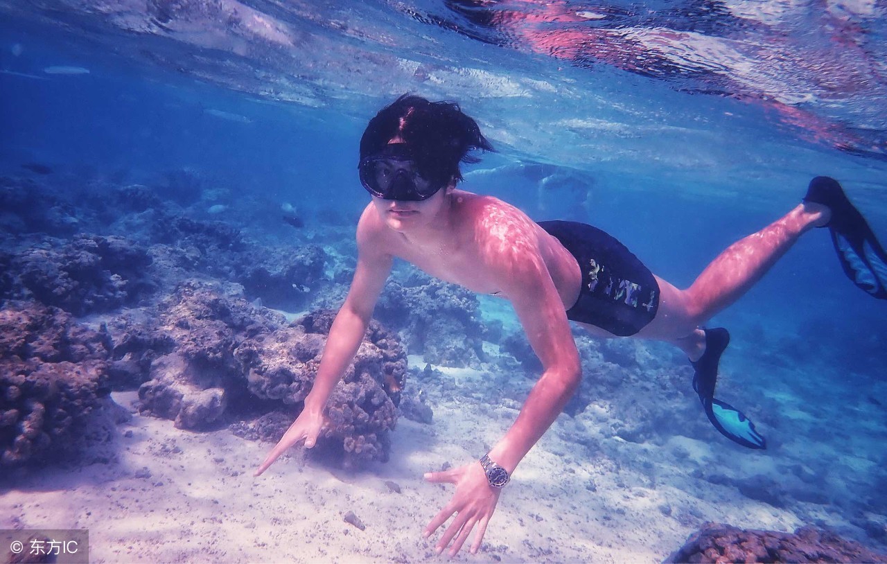 一生必去的浮潜胜地,世界十大浮潜胜地