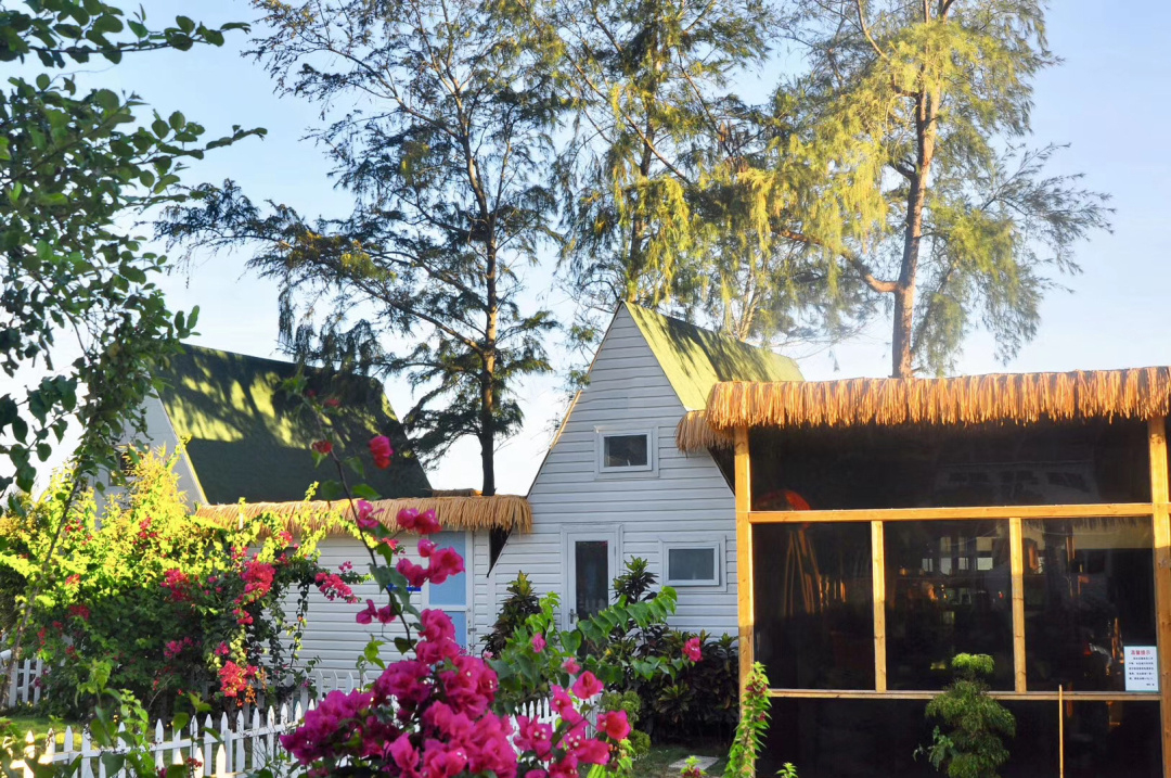 精品民宿带动型典型,特色纯木屋