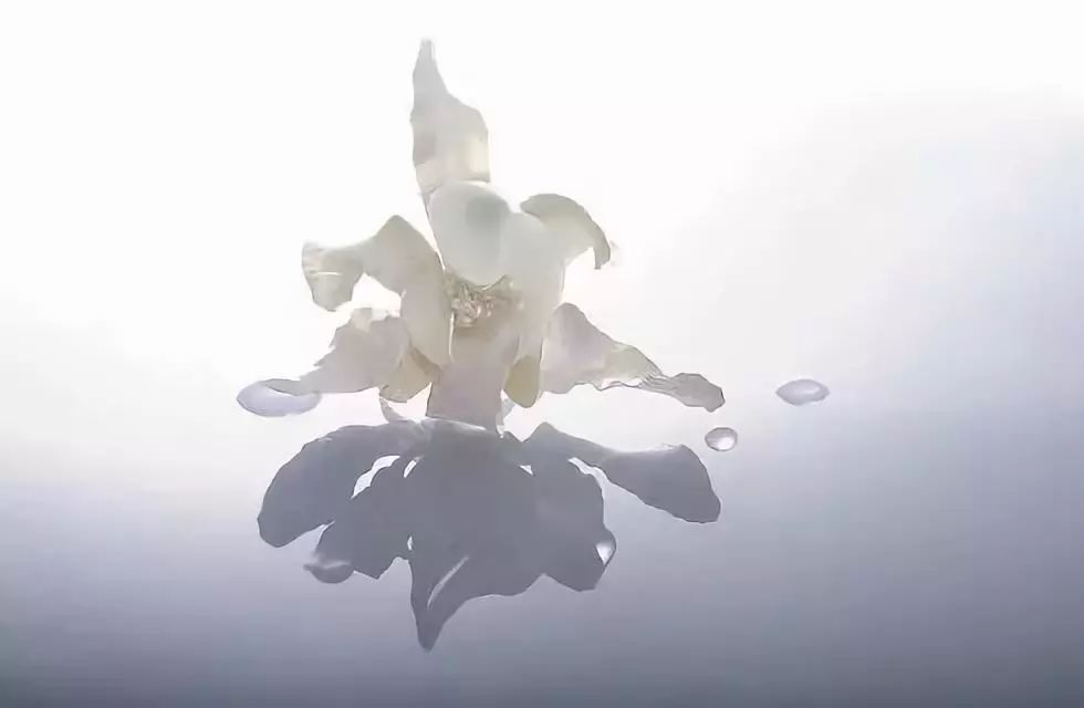 口苦易上火怎么解决,健康口苦