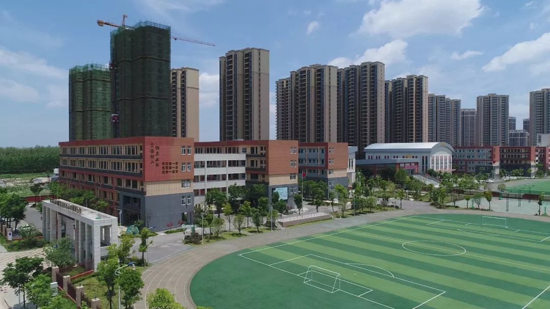 青菱片区这三所学校，足以让孩子开心、家长放心！