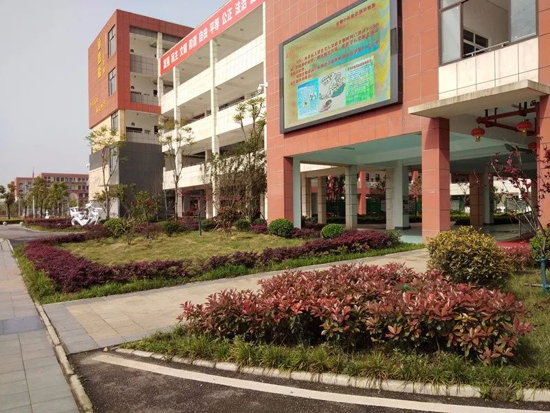 青菱片区这三所学校，足以让孩子开心、家长放心！