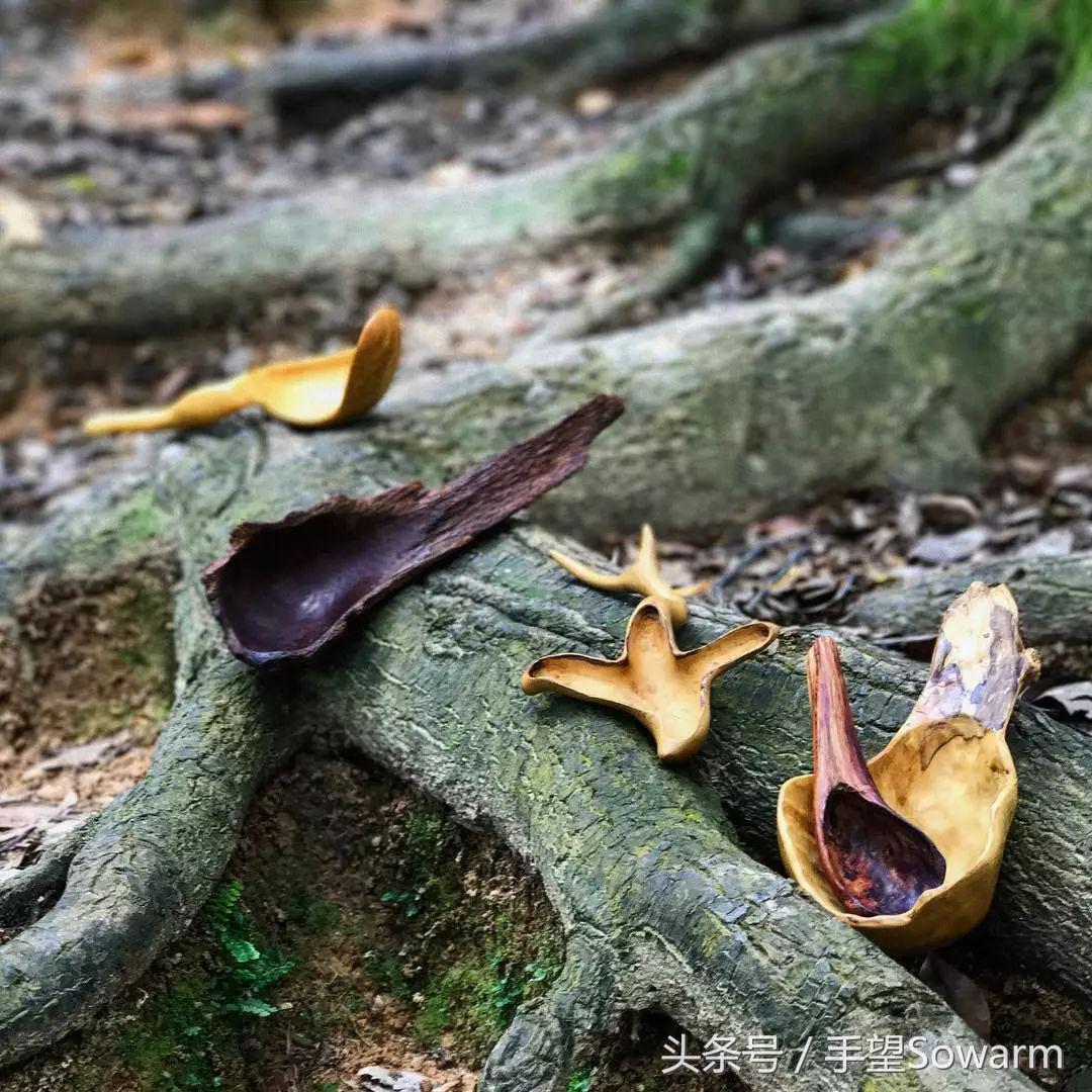 关掉公司，换个手机，摄影大叔中年“退隐”到深山做木勺