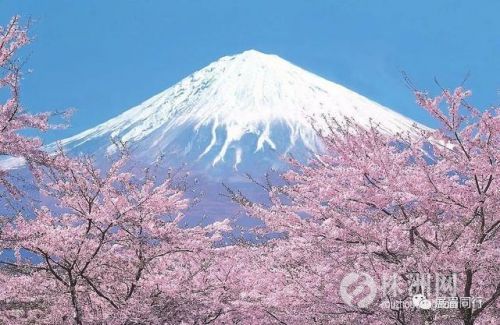 旅游从业者内幕,出国旅游真相揭秘