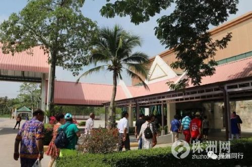 旅游从业者内幕,出国旅游真相揭秘