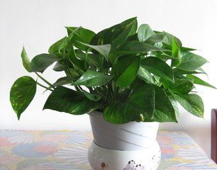 病魔面前如何自救,战胜病魔良好的心态有多重要