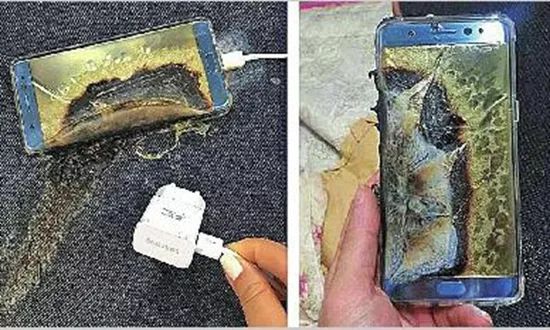 龙鱼顶灾,多么痛的领悟和教训发朋友圈