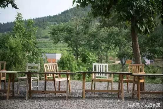 一个80后女大学生拿到！成功打造了山东省唯一国家级田园综合体