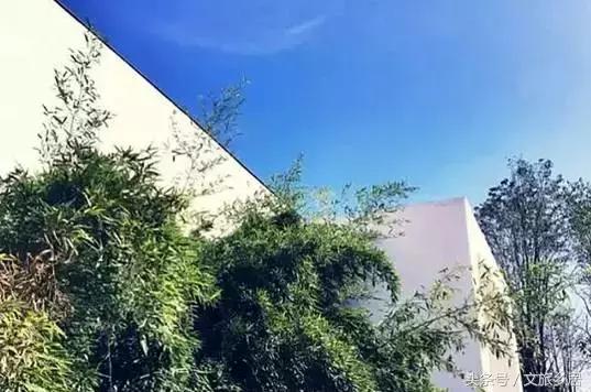 一个80后女大学生拿到！成功打造了山东省唯一国家级田园综合体