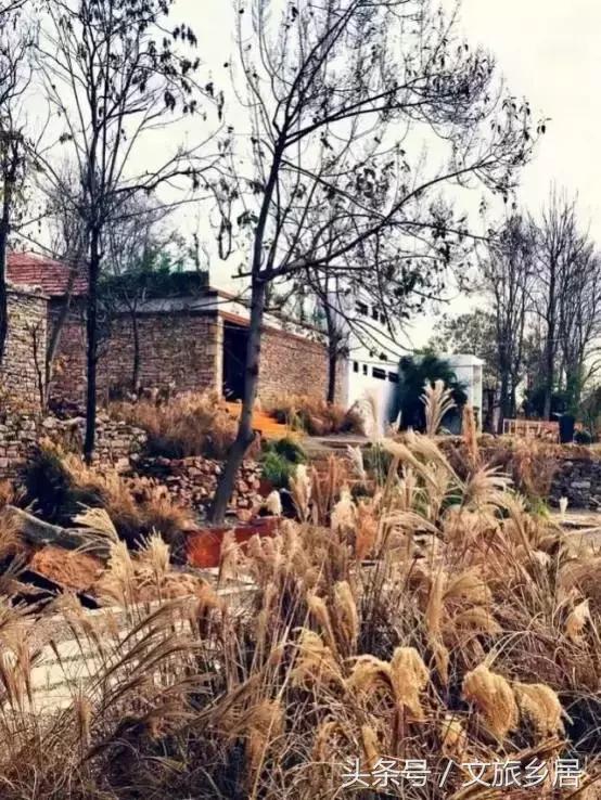 一个80后女大学生拿到！成功打造了山东省唯一国家级田园综合体