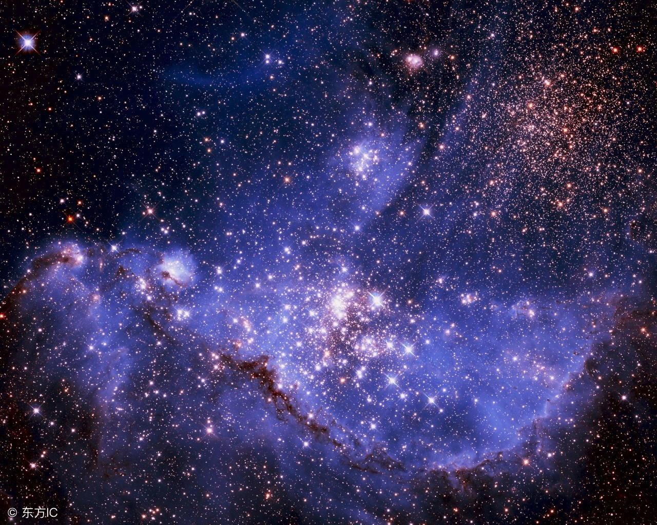 企业品牌策划品牌升级,企业品牌转型案例